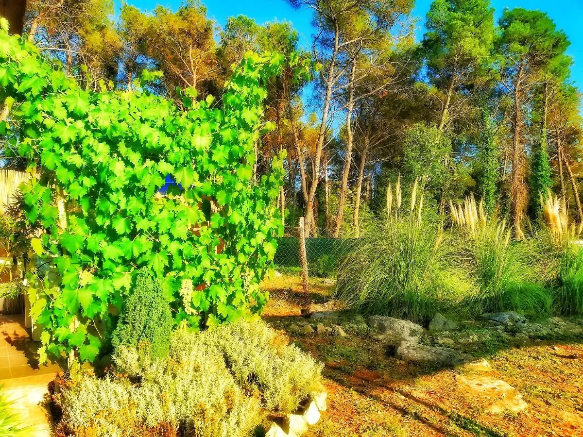 Pampas Studio, Self Check-In Porec 0*,